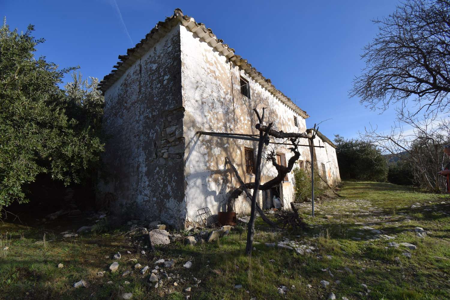 FINCA AVEC CORTIJO À RÉFORMER AVEC DE BELLES VUES