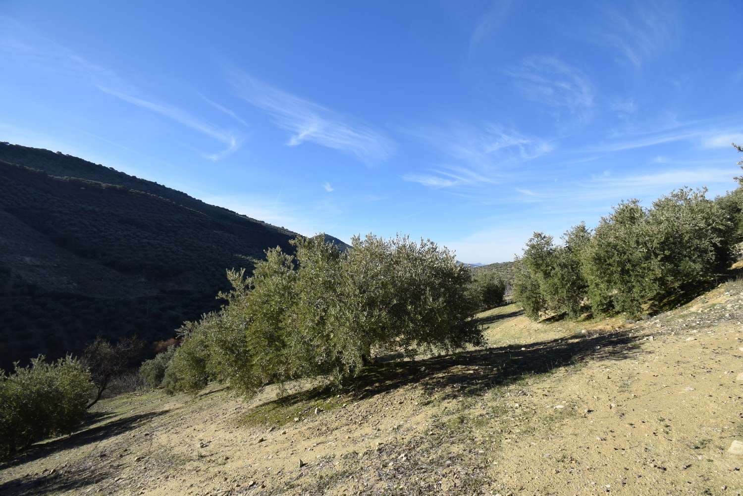 FINCA MED CORTIJO ATT REFORMERA MED VACKER UTSIKT