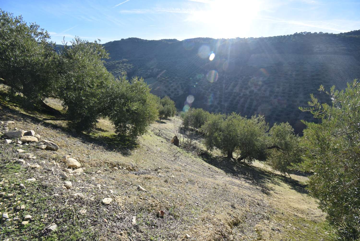 ANDALUSIAN CORTIJO FOR RENOVATION WITH FANTASTIC VIEWS, LAND AND TRANQUILITY