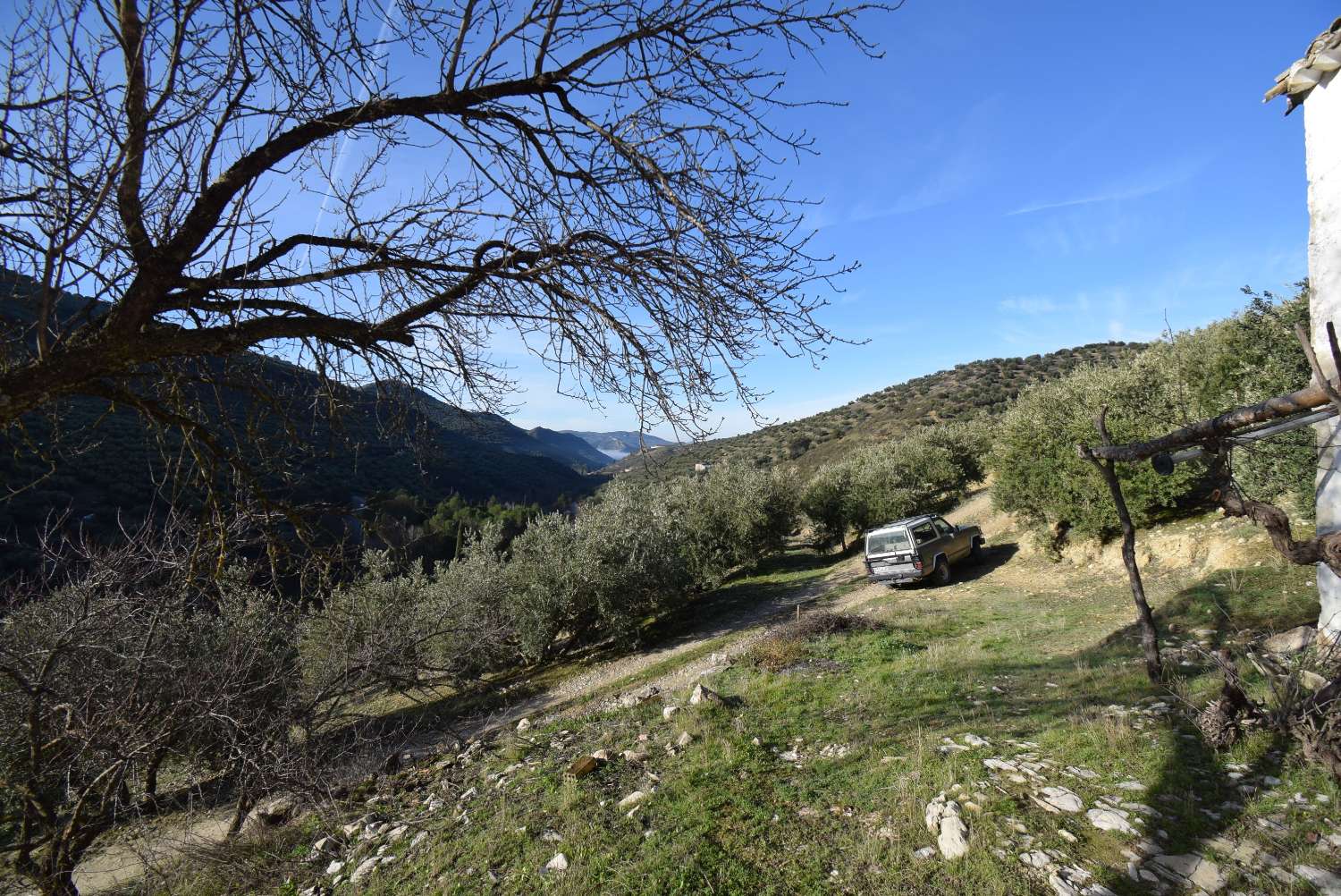 FINCA AVEC CORTIJO À RÉFORMER AVEC DE BELLES VUES