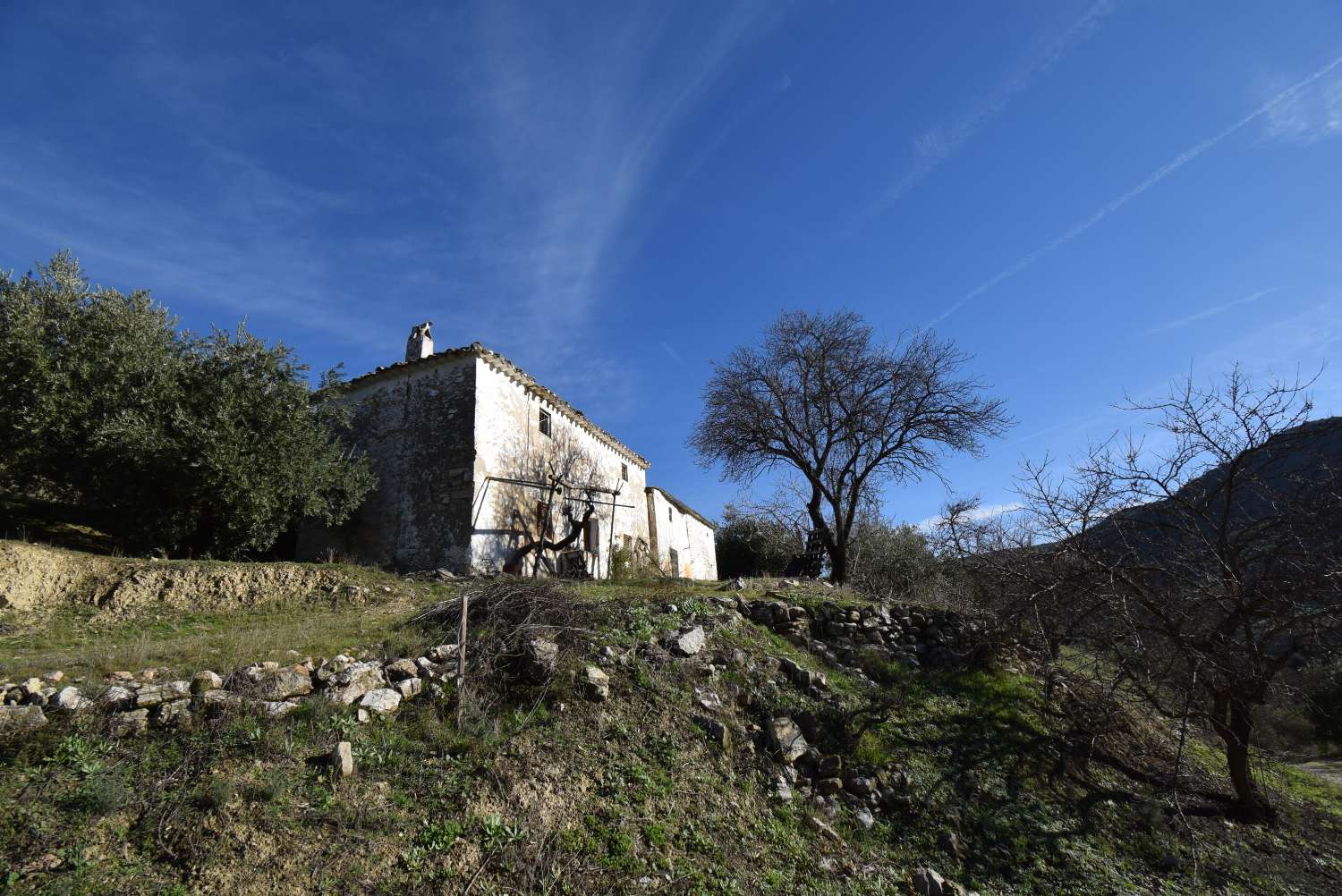 FINCA AVEC CORTIJO À RÉFORMER AVEC DE BELLES VUES