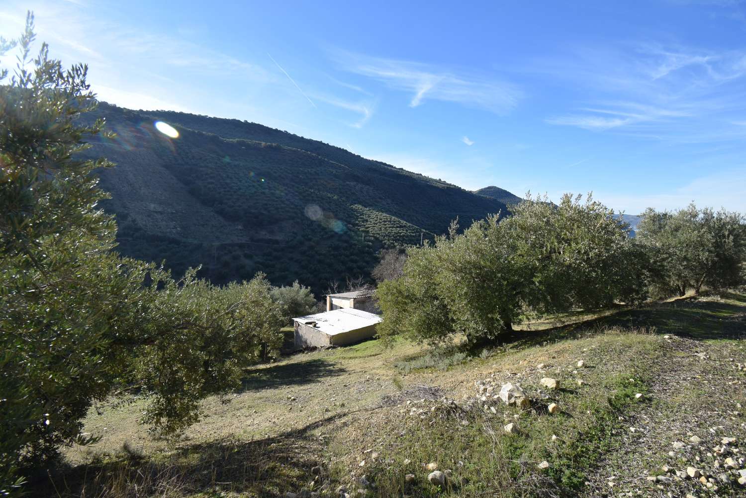 FINCA CON CORTIJO DA RIFORMARE CON BELLE VISTE