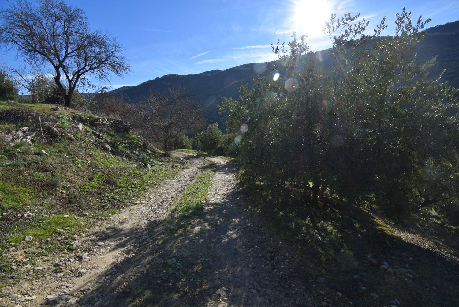 FINCA MET CORTIJO TE HERVORMEN MET PRACHTIG UITZICHT