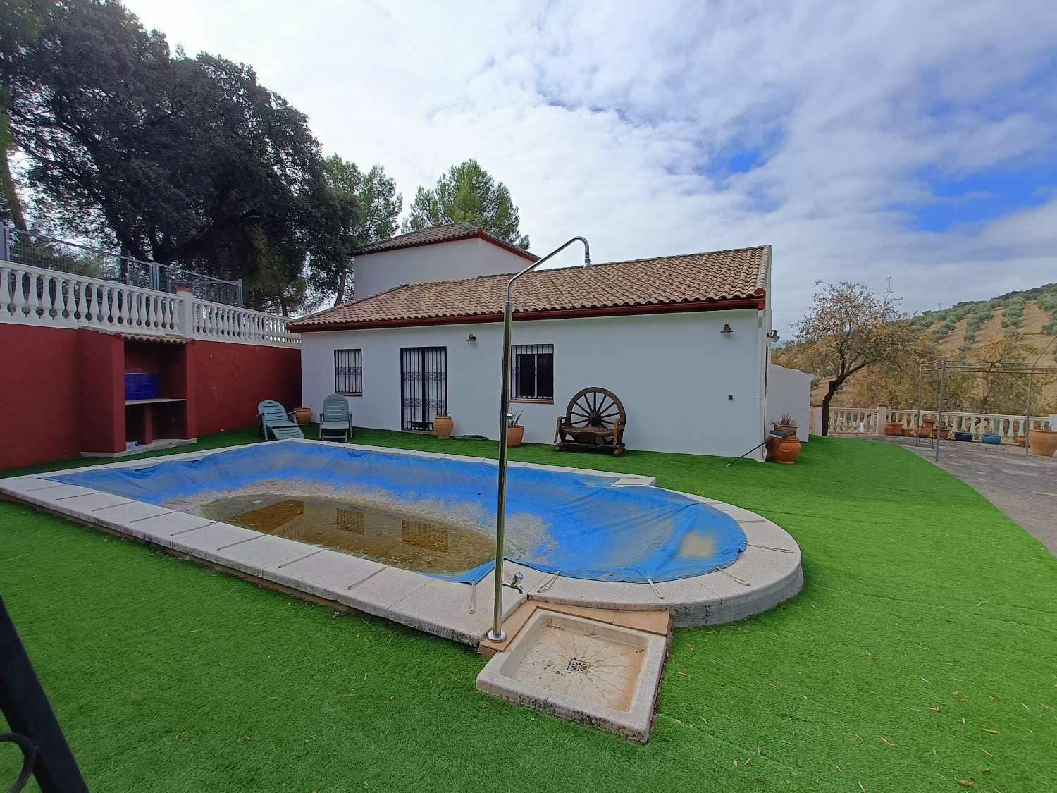 Casa rural independiente con piscina privada y olivos