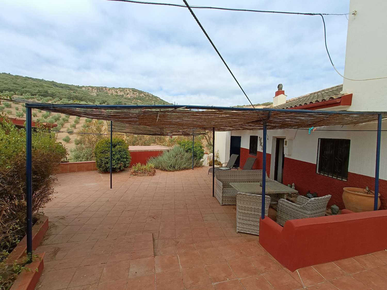 Detached country house with private pool and olive trees