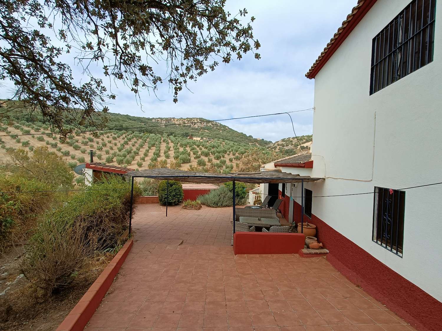 Detached country house with private pool and olive trees