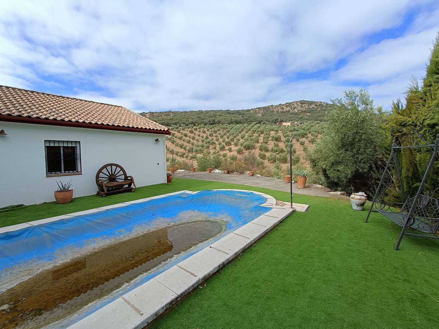 Casa rural independiente con piscina privada y olivos