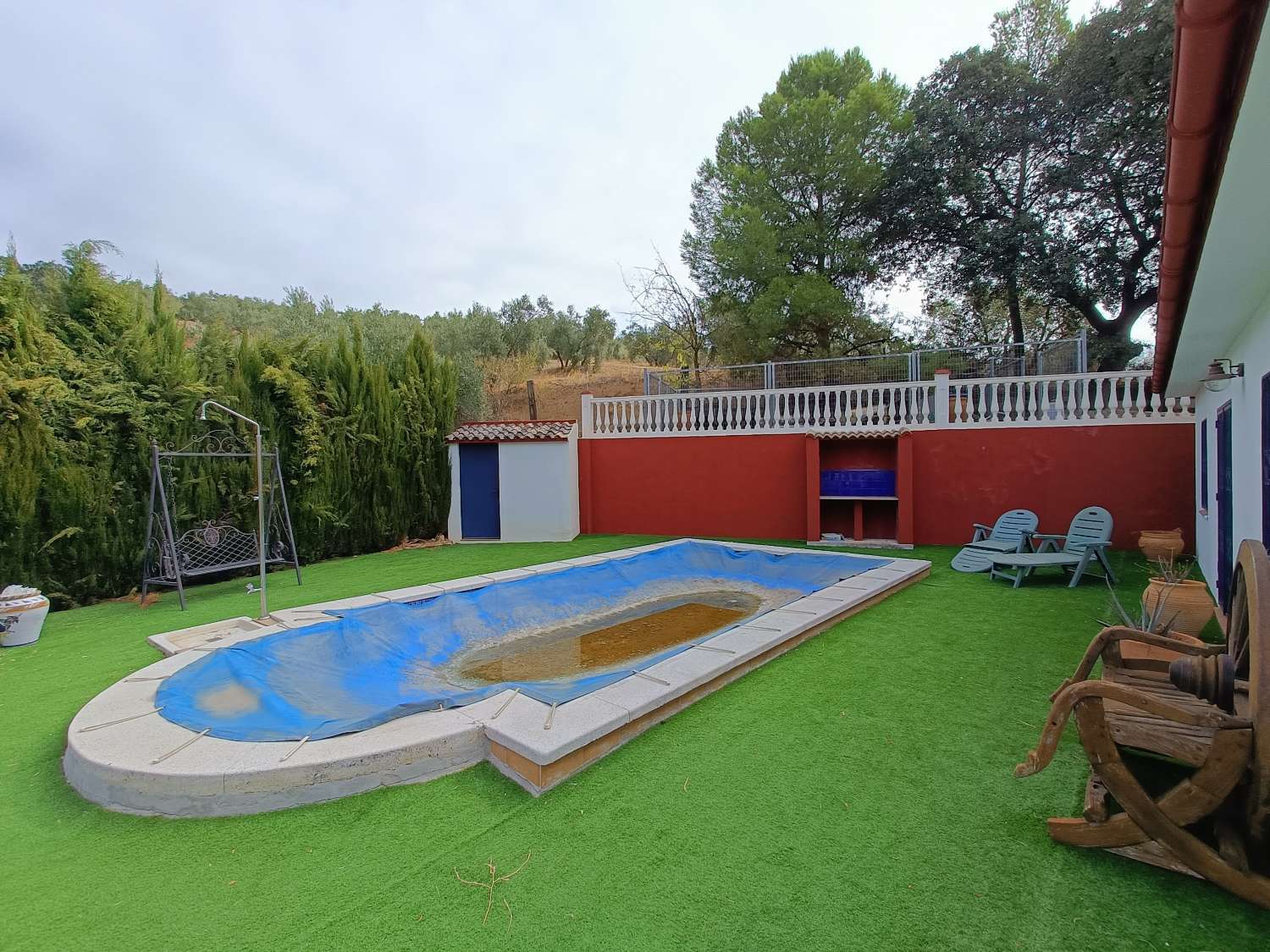 Casa rural independiente con piscina privada y olivos