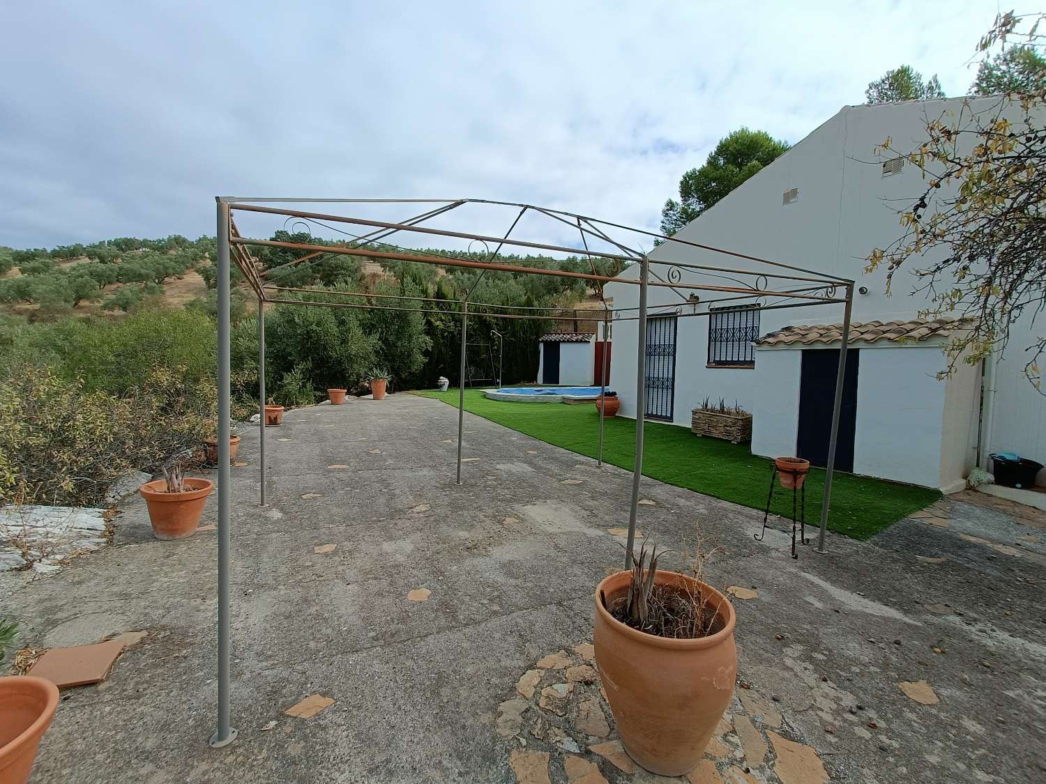 Casa rural independiente con piscina privada y olivos