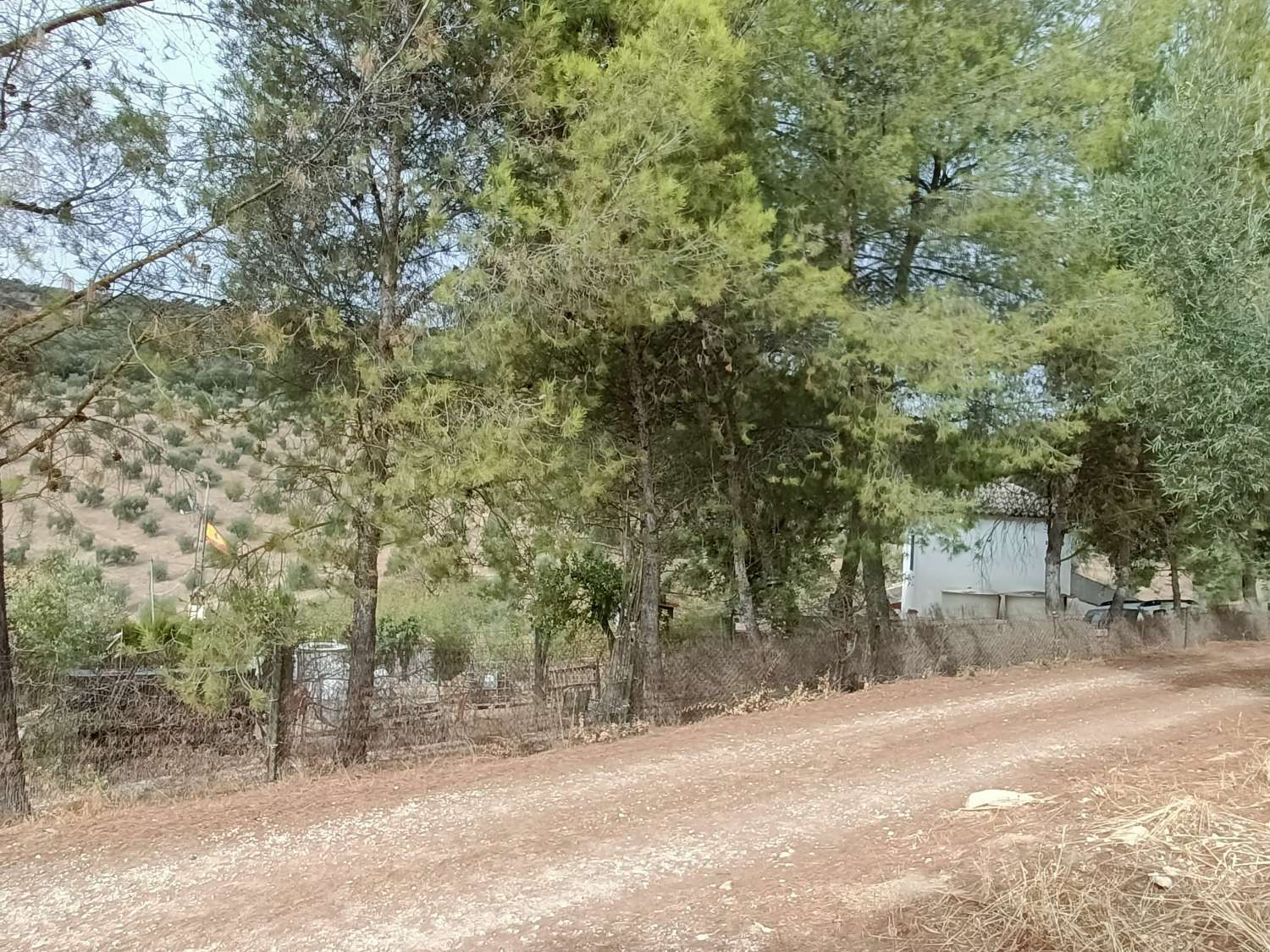 Detached country house with private pool and olive trees