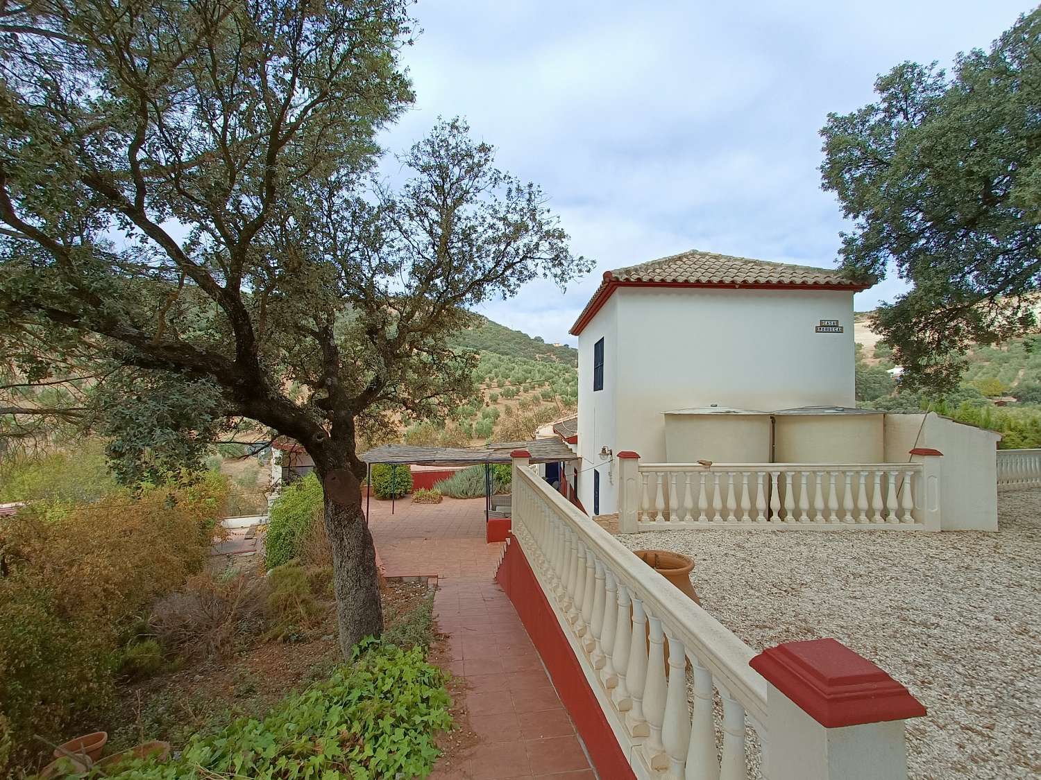 Detached country house with private pool and olive trees