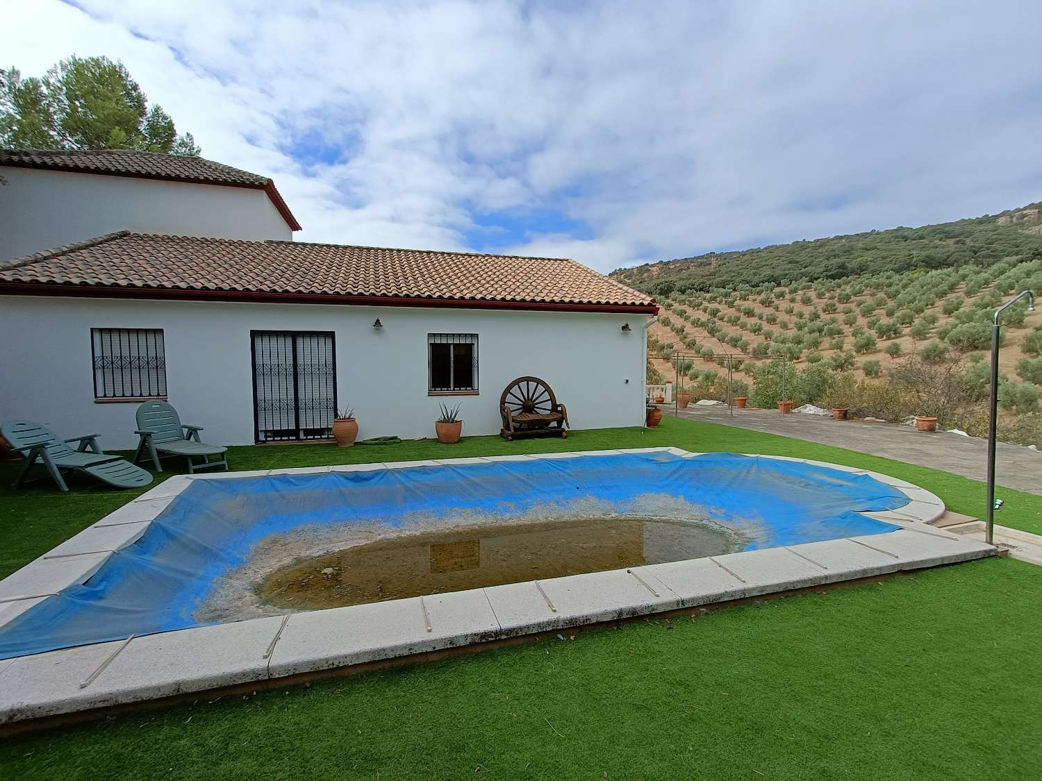 Detached country house with private pool and olive trees