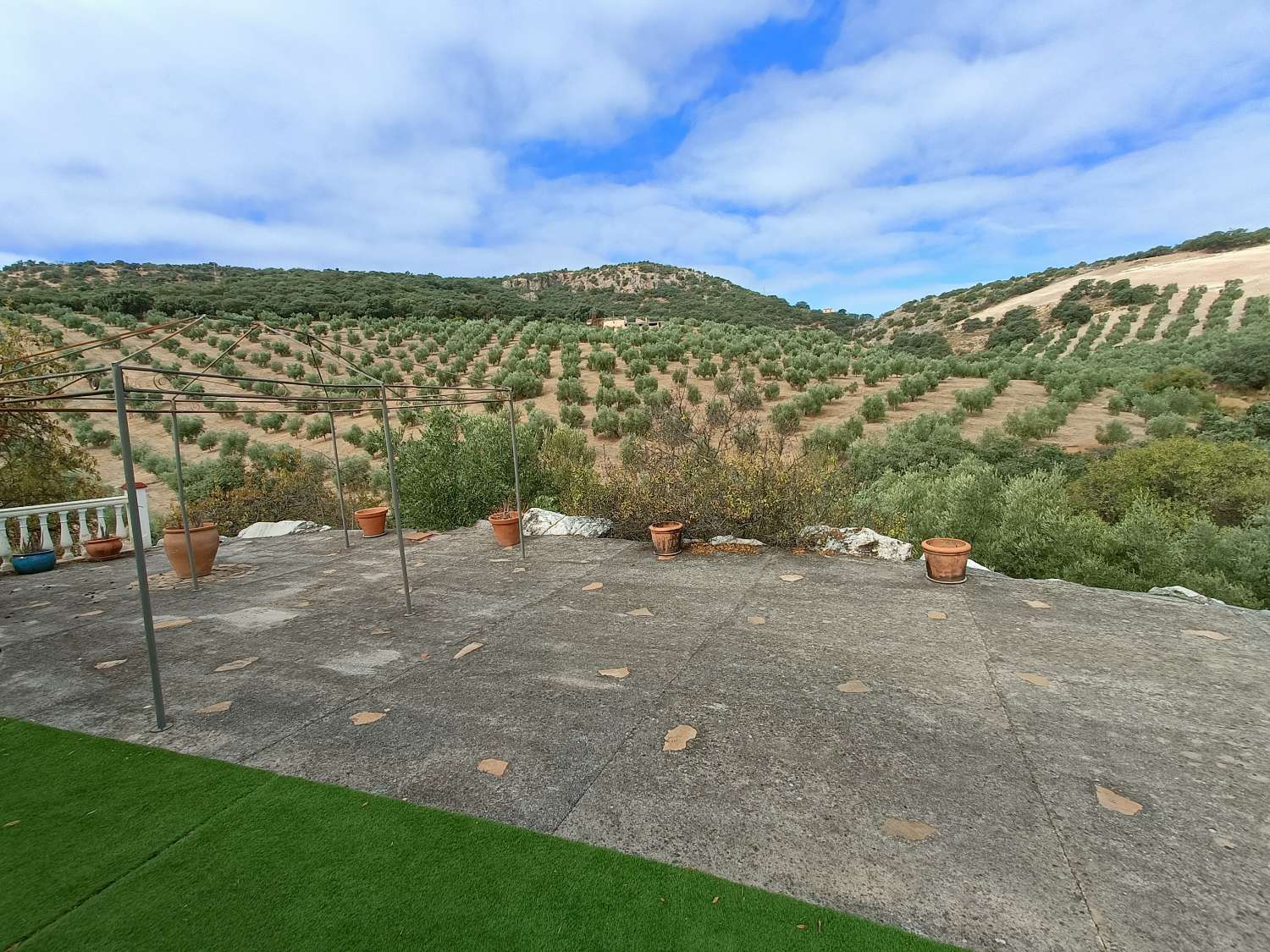 Detached country house with private pool and olive trees