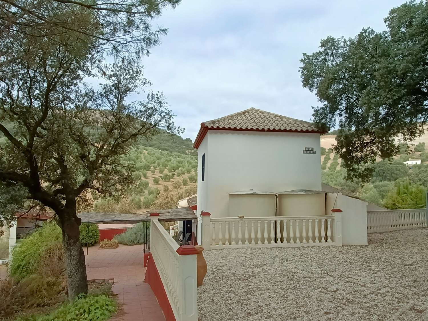 Detached country house with private pool and olive trees