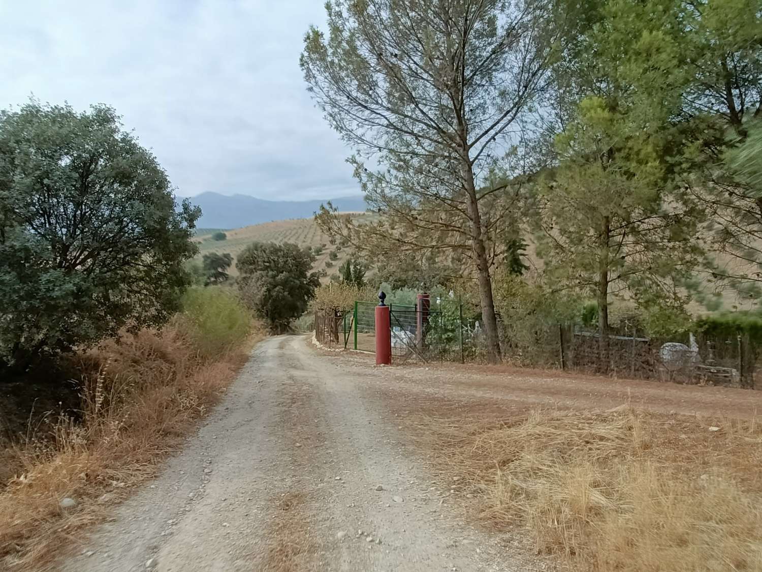 Detached country house with private pool and olive trees