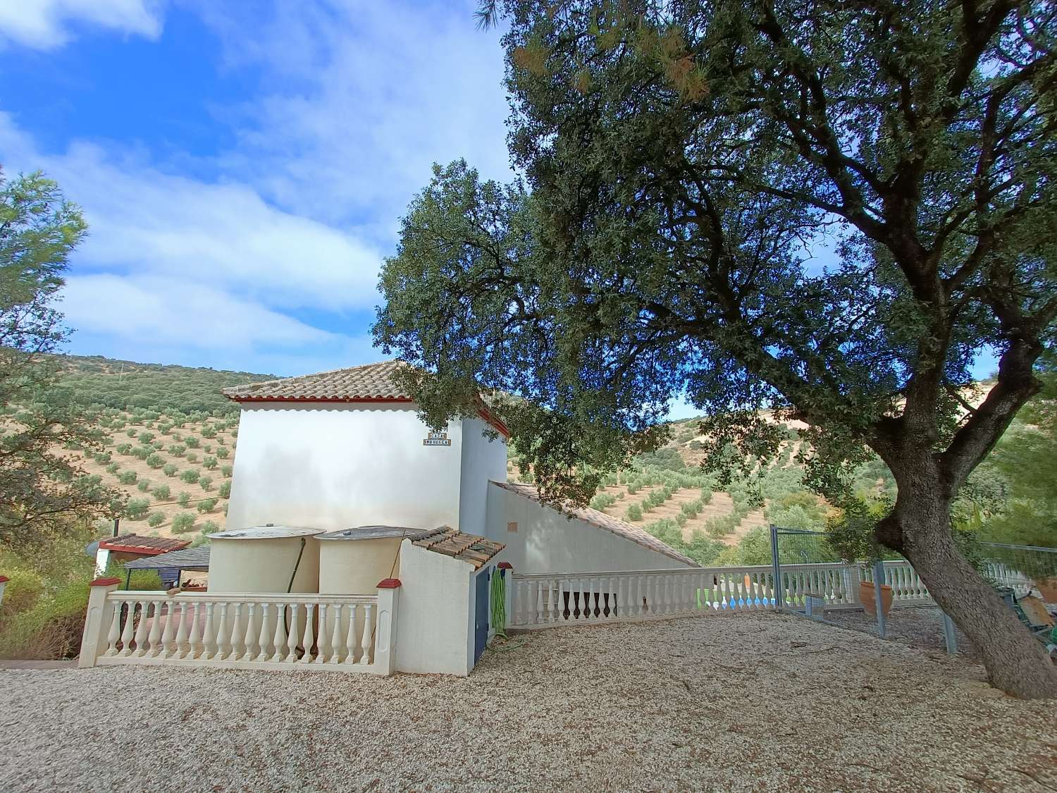 Detached country house with private pool and olive trees