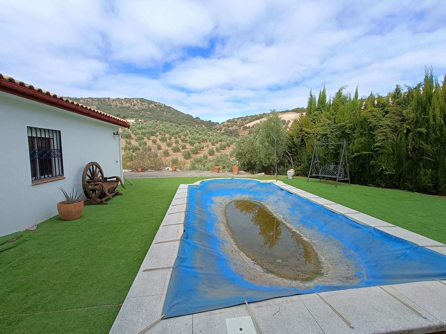 Casa rural independiente con piscina privada y olivos