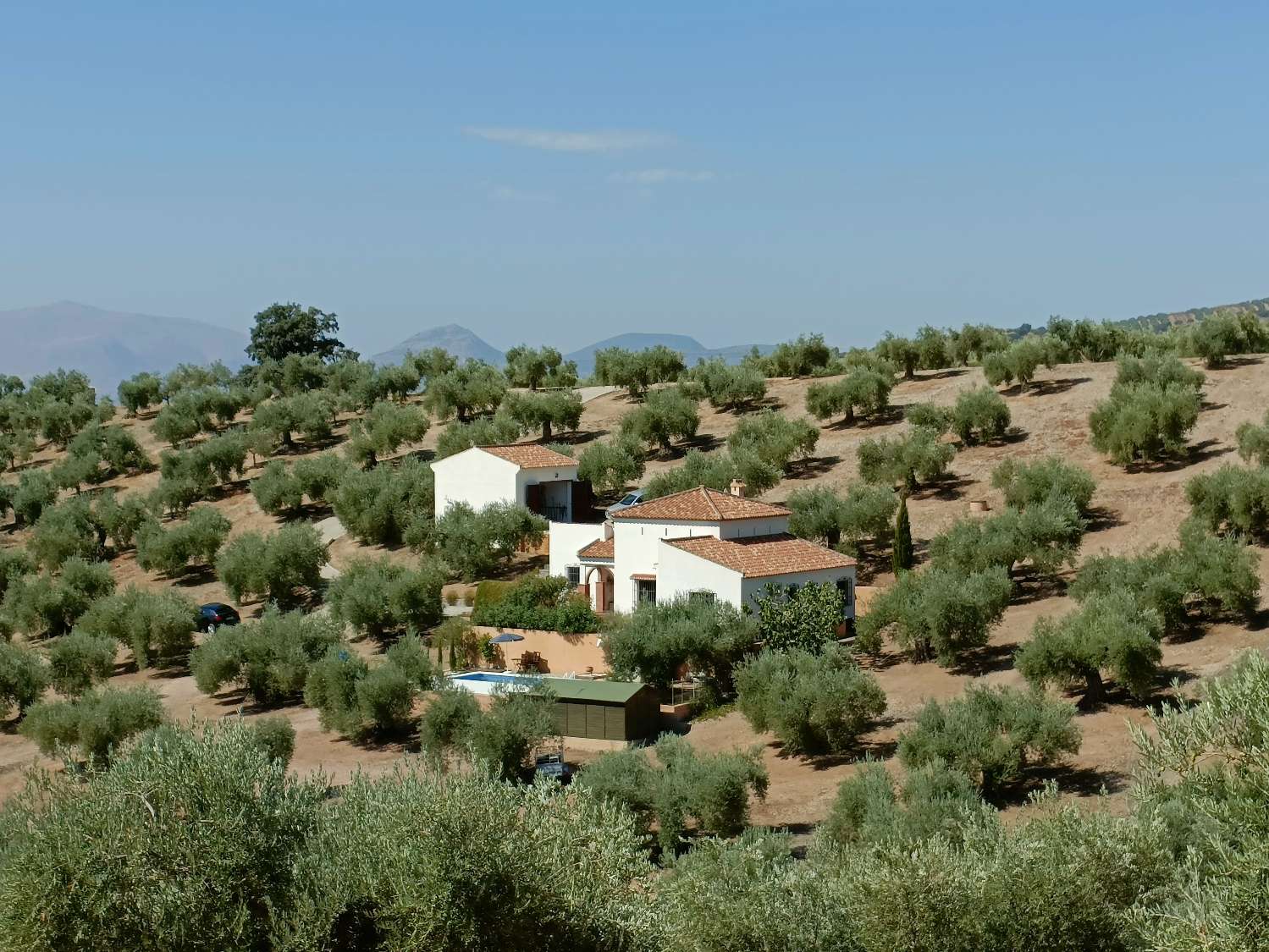 CASA DI CAMPAGNA DI ALTA QUALITÀ, OLIVETO E VISTA FANTASTICA