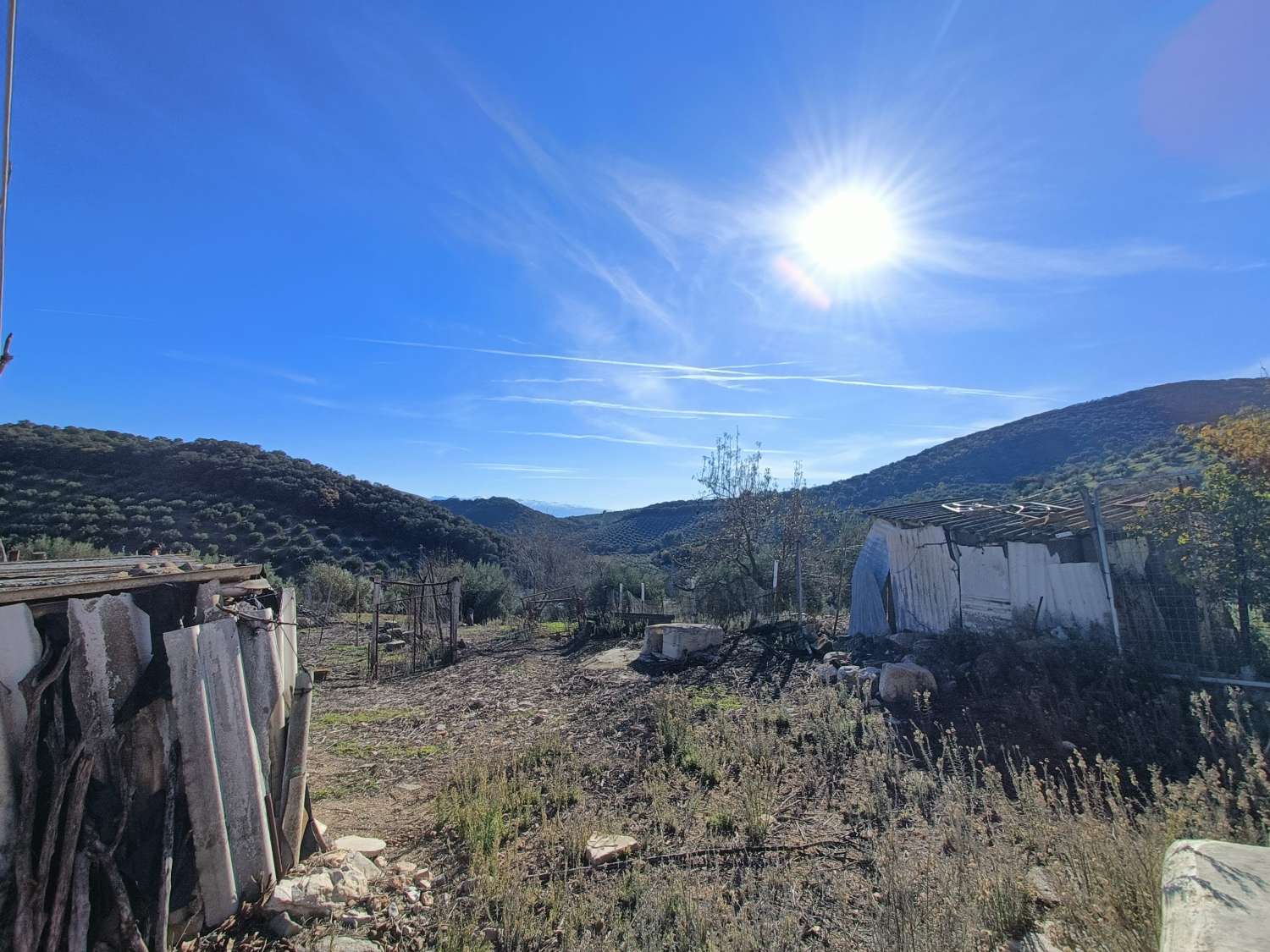 Farmhouse for reform with 4 hectares of mature olive trees