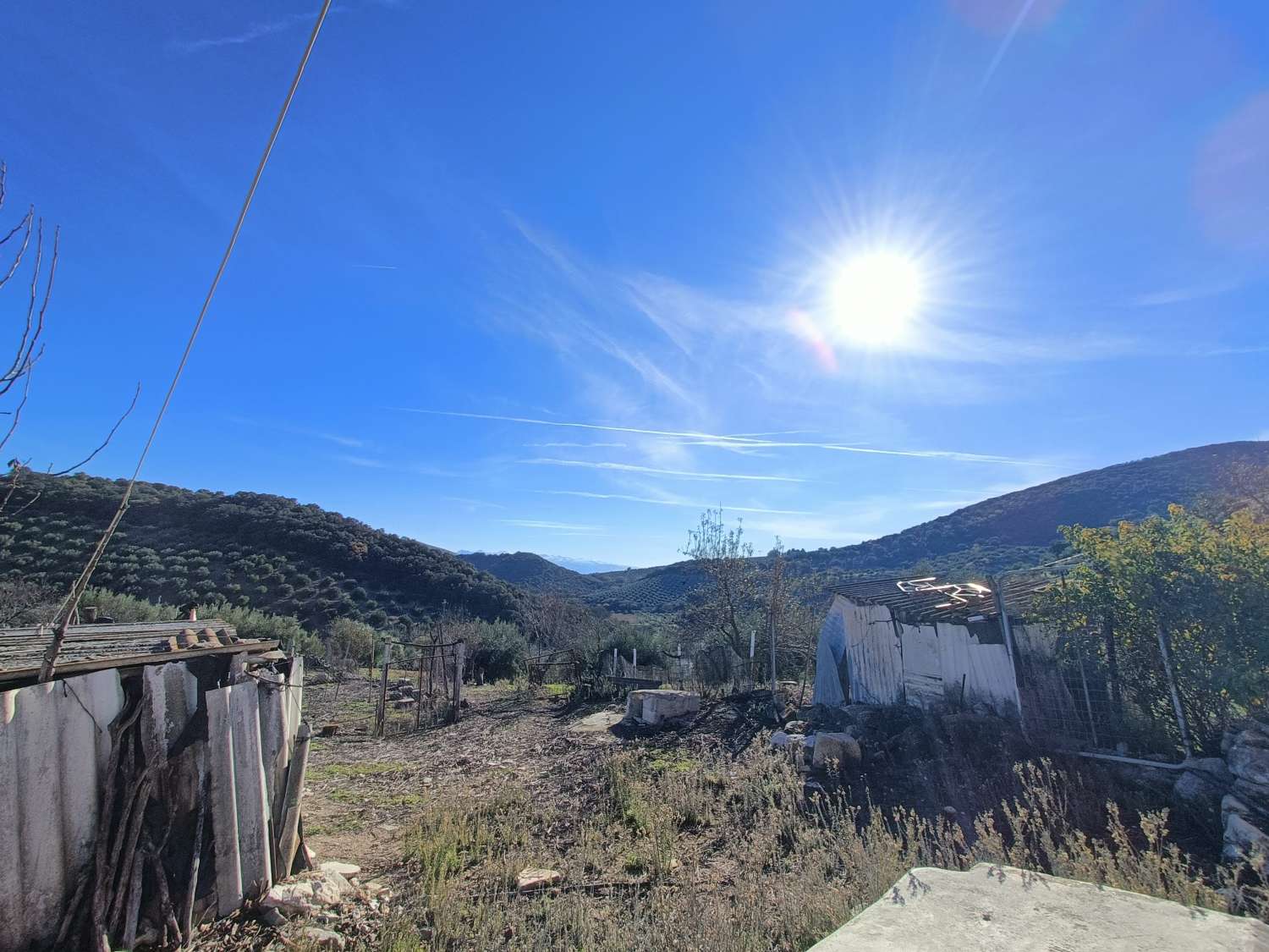 Farmhouse for reform with 4 hectares of mature olive trees