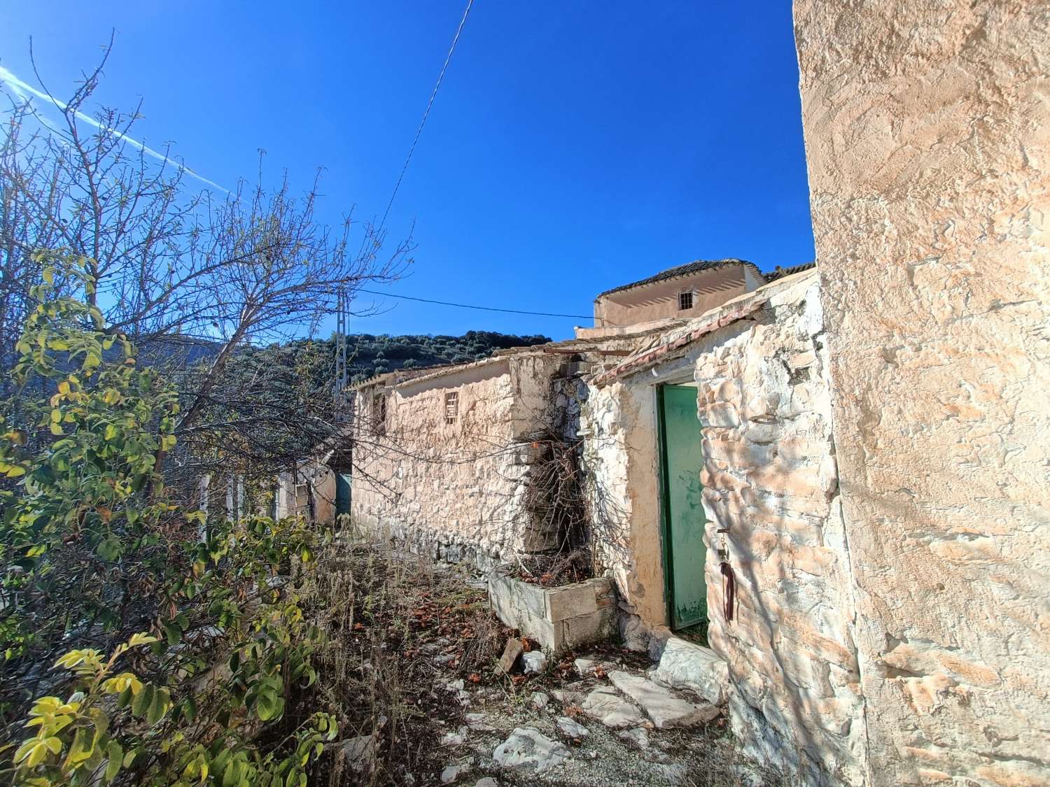 Farmhouse for reform with 4 hectares of mature olive trees