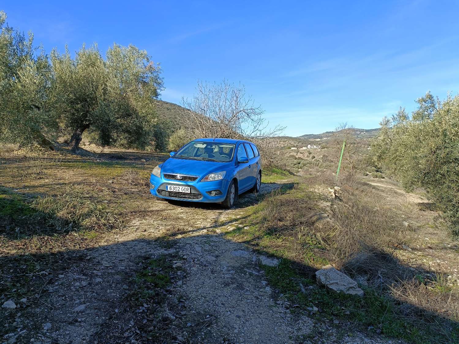 Farmhouse for reform with 4 hectares of mature olive trees