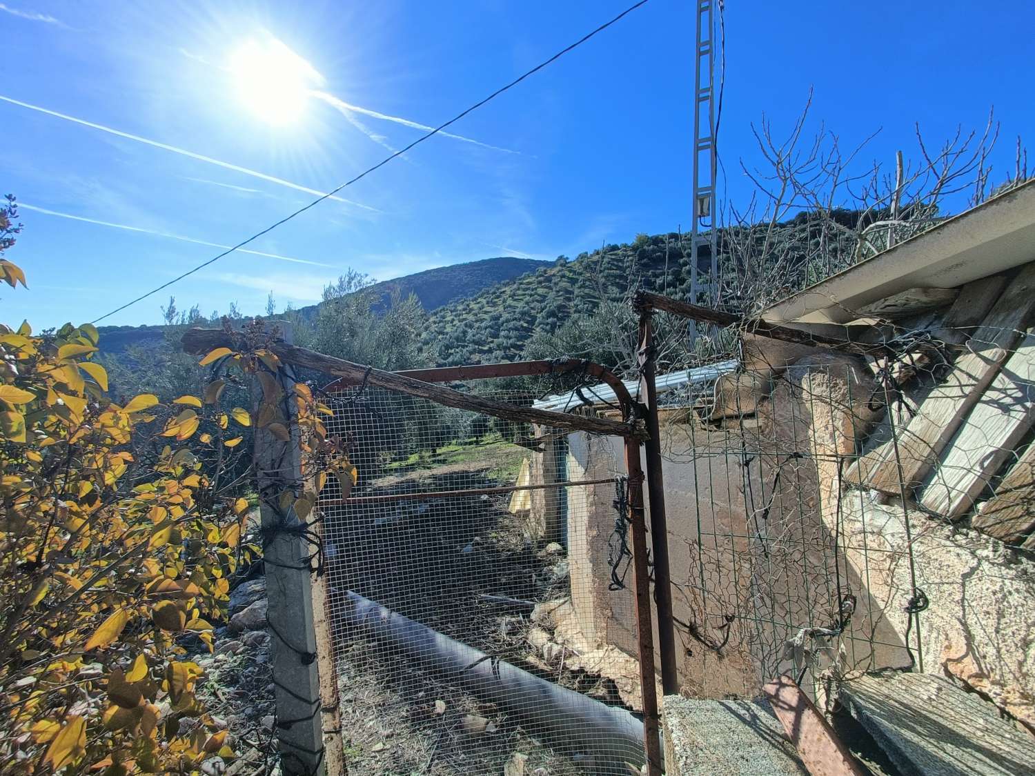 Farmhouse for reform with 4 hectares of mature olive trees