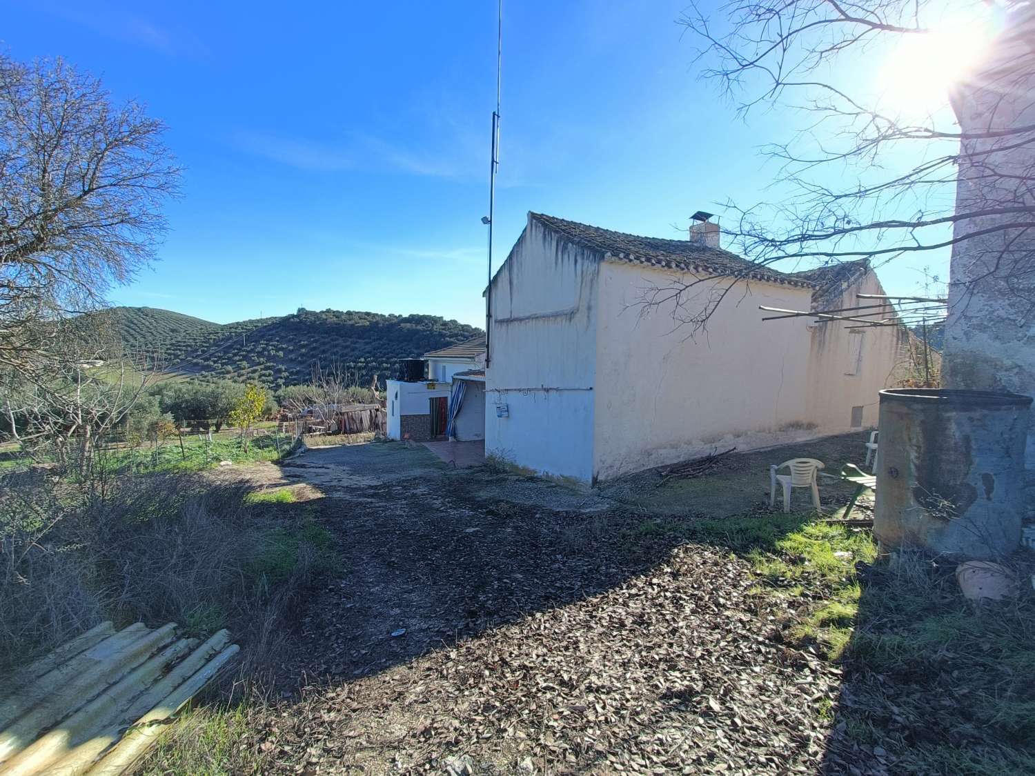 Farmhouse for reform with 4 hectares of mature olive trees