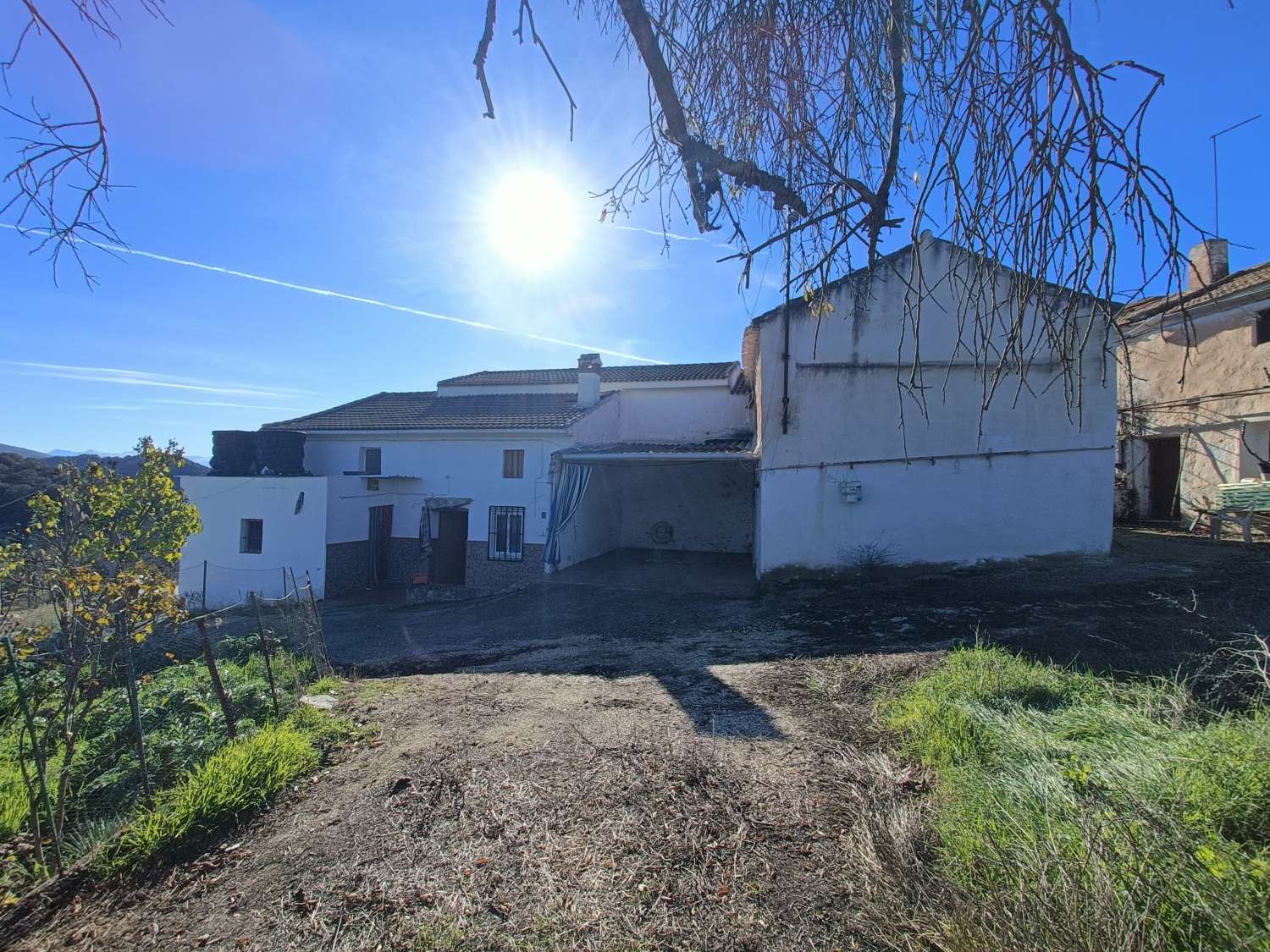 Farmhouse for reform with 4 hectares of mature olive trees