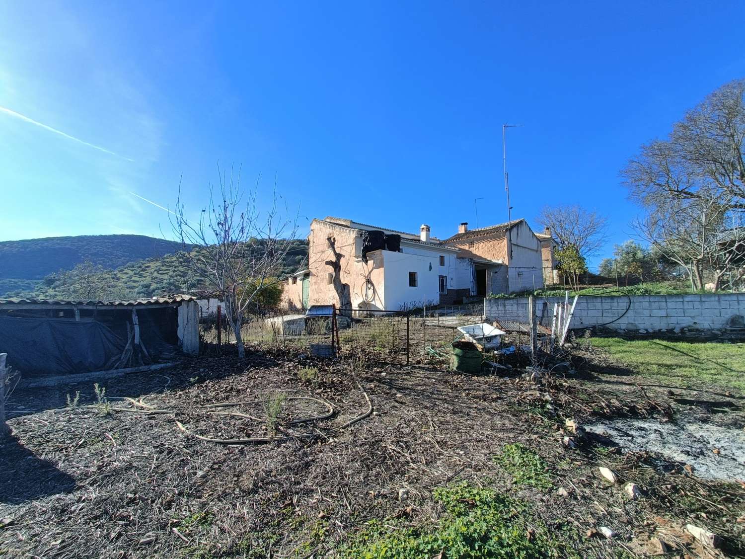 Farmhouse for reform with 4 hectares of mature olive trees