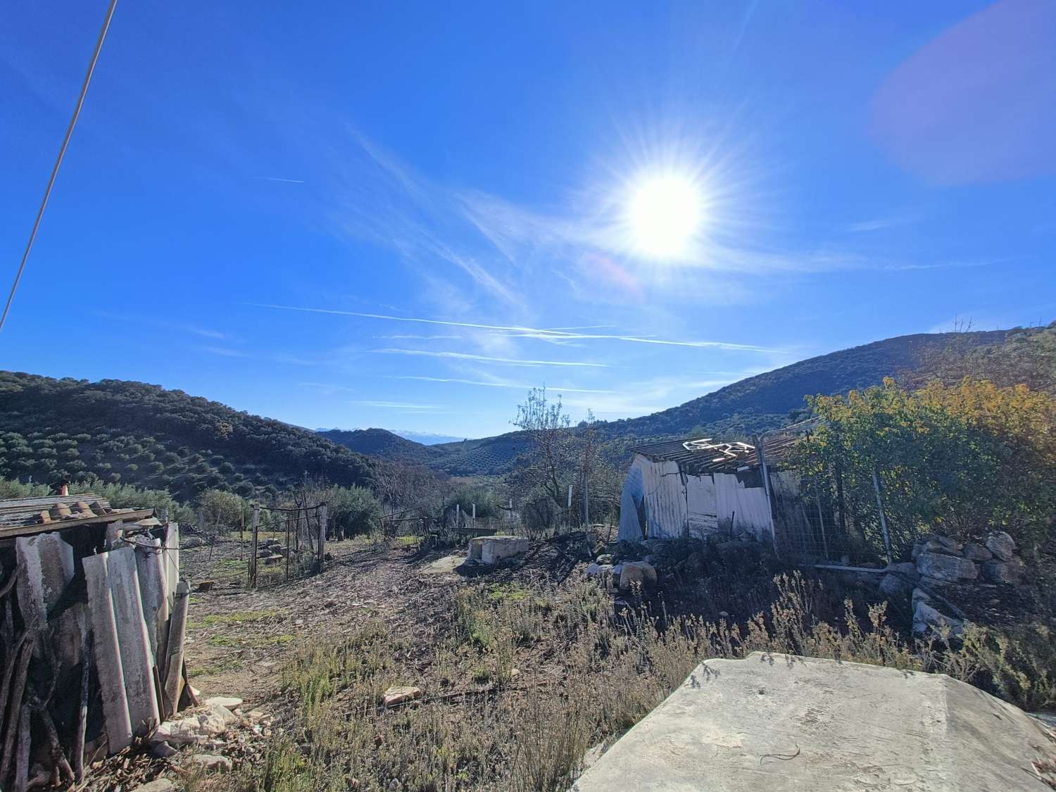 Farmhouse for reform with 4 hectares of mature olive trees