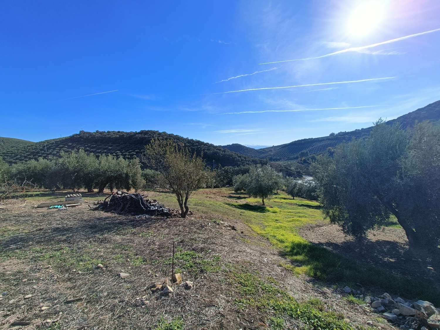 Farmhouse for reform with 4 hectares of mature olive trees